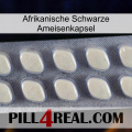 Africa Black Ant Capsule 08